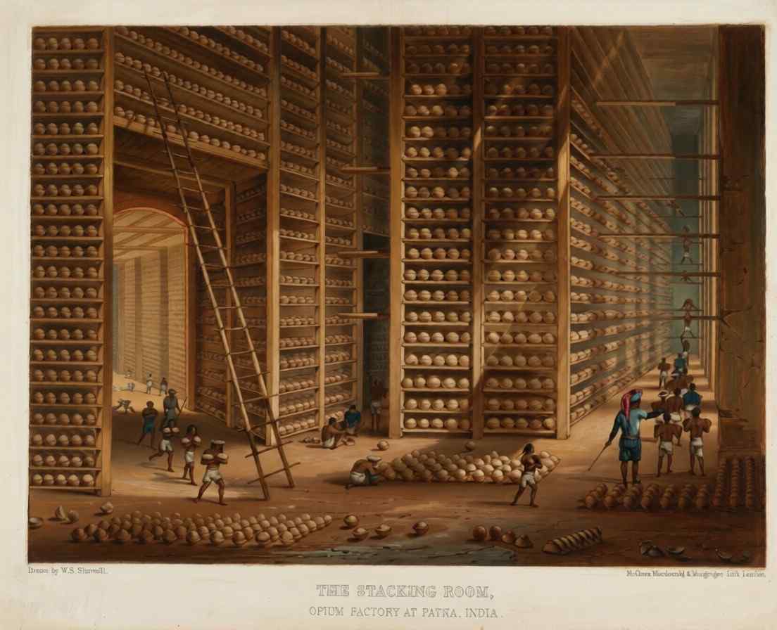Sebuah ilustrasi berwarna penuh (full color) yang menggambarkan interior atau bagian dalam gudang penumpukan raksasa di pabrik opium Patna, India. Ruangan memiliki langit-langit yang sangat tinggi dengan rak-rak kayu masif bertingkat yang membentang luas ke latar belakang. Rak-rak tersebut dipenuhi oleh ribuan bola candu mentah berwarna krem yang disusun rapi. Beberapa pekerja lokal India dengan pakaian tradisional sibuk memindahkan bola-bola candu di lantai, sementara dua tangga kayu panjang bersandar pada rak. Pencahayaan dramatis dengan teks di bagian bawah "THE STACKING ROOM, OPIUM FACTORY AT PATNA, INDIA" (ardiholmes.id).