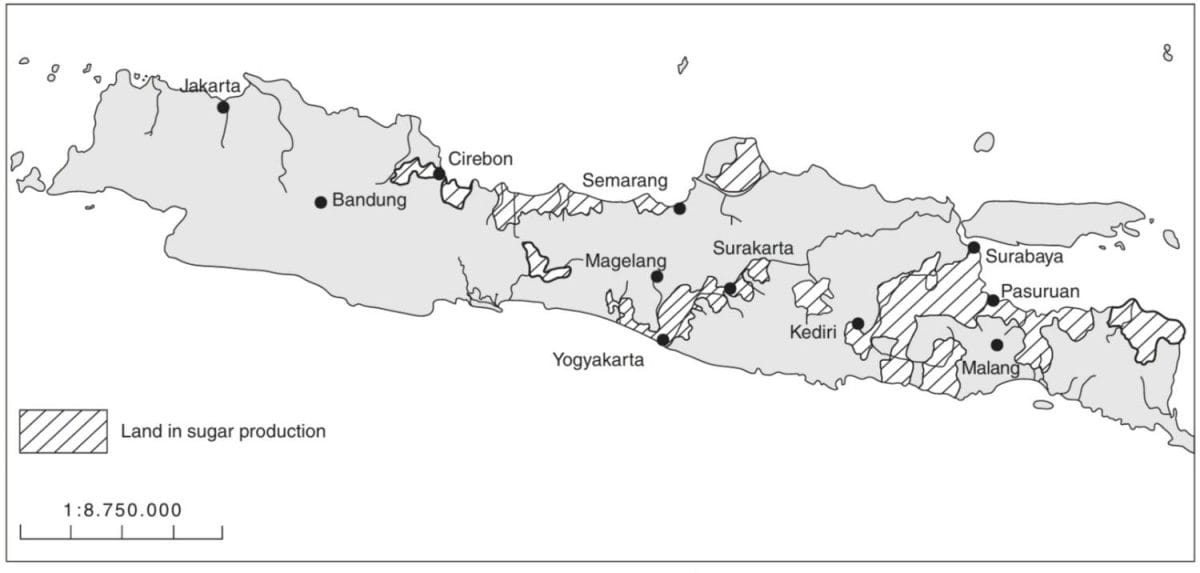 Peta hitam putih Pulau Jawa abad ke-20 menunjukkan wilayah sebaran produksi tebu yang terkonsentrasi di Jawa Tengah dan Jawa Timur seperti Pasuruan, Malang, dan Kediri.